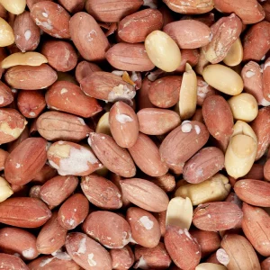 ۶ فایده اصلی بادام زمینی در قیمت های مناسب