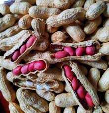 قیمت بادام زمینی خام با غلاف مستقیم از مزرعه
