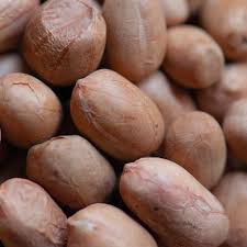 قیمت بادام زمینی پنیری خوشمزه و پر انرژی مستقیم از تولید
