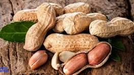 چگونه باید بادام زمینی خورد؟