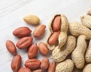 خرید مغز مغذی بادام زمینی و پرمصرف در سراسر جهان