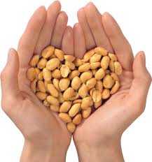 خرید بادام زمینی درجه یک بدون واسطه 1405